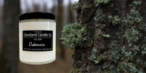 Oakmoss