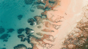 Coral Sands - Scent Sample