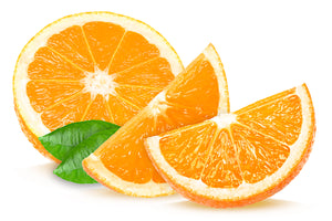 Orange Slices - Paper Sample Swatch