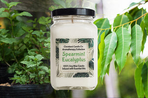 Spearmint Eucalyptus