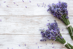 Purple Sandalwood